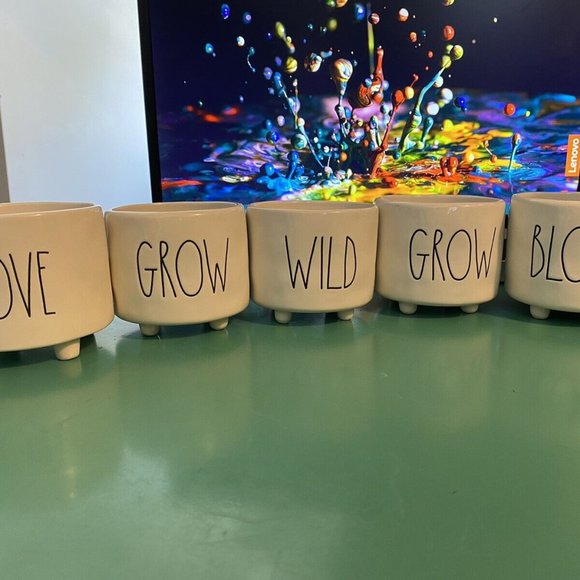 Set of 5 Rae Dunn Mini Planters - Picture 5 of 11